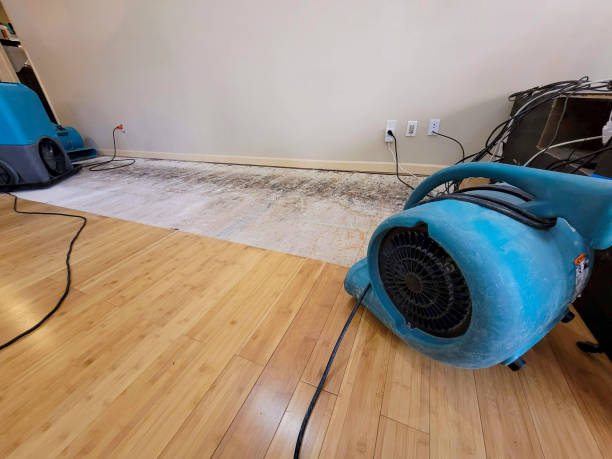 Professional Emergency Water Damage technician working in Seaford, DE